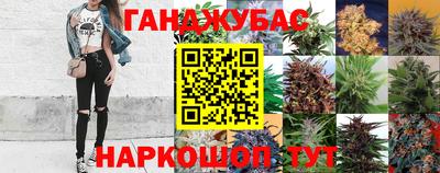 амф Жуковский