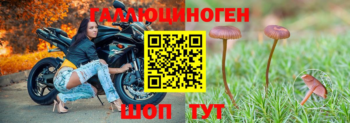 Луховицы  Галлюциногенные грибы Magic Shrooms  где можно купить наркотик  Псилоцибиновые грибы мухоморы  Вход с VPN 