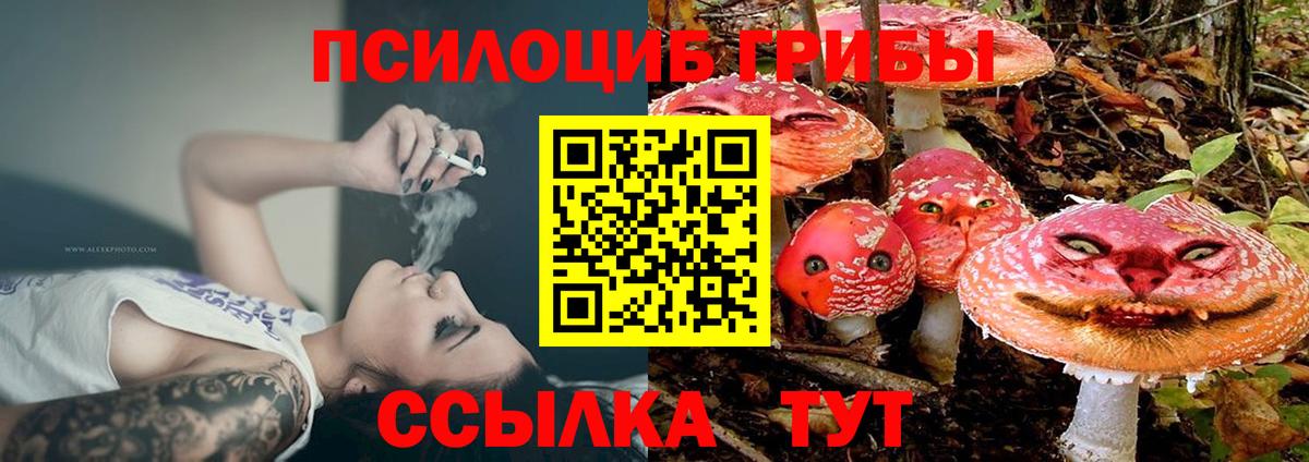 Псилоцибиновые грибы ЛСД Луховицы
